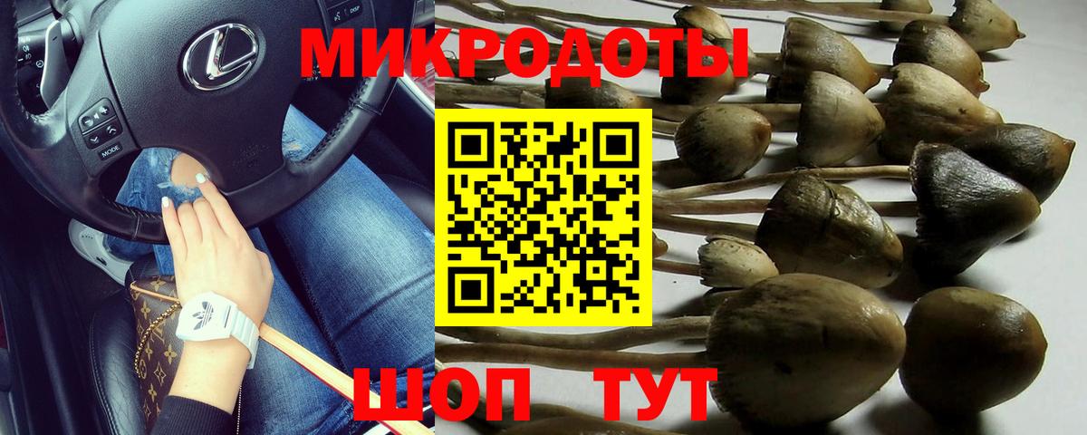 Псилоцибиновые грибы мухоморы Оренбург