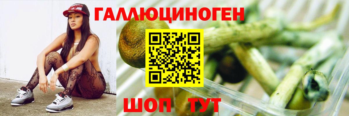 Галлюциногенные грибы прущие грибы  Вход с VPN  Оренбург 